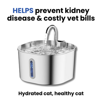 PurrSippy™ Fountain